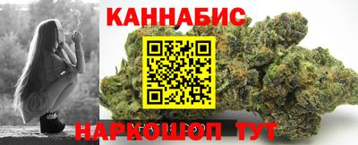 индика Моздок